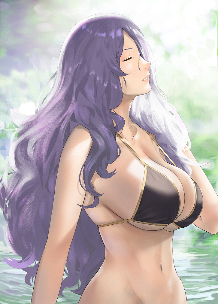 This is a pixiv picture whose title is Camilla.