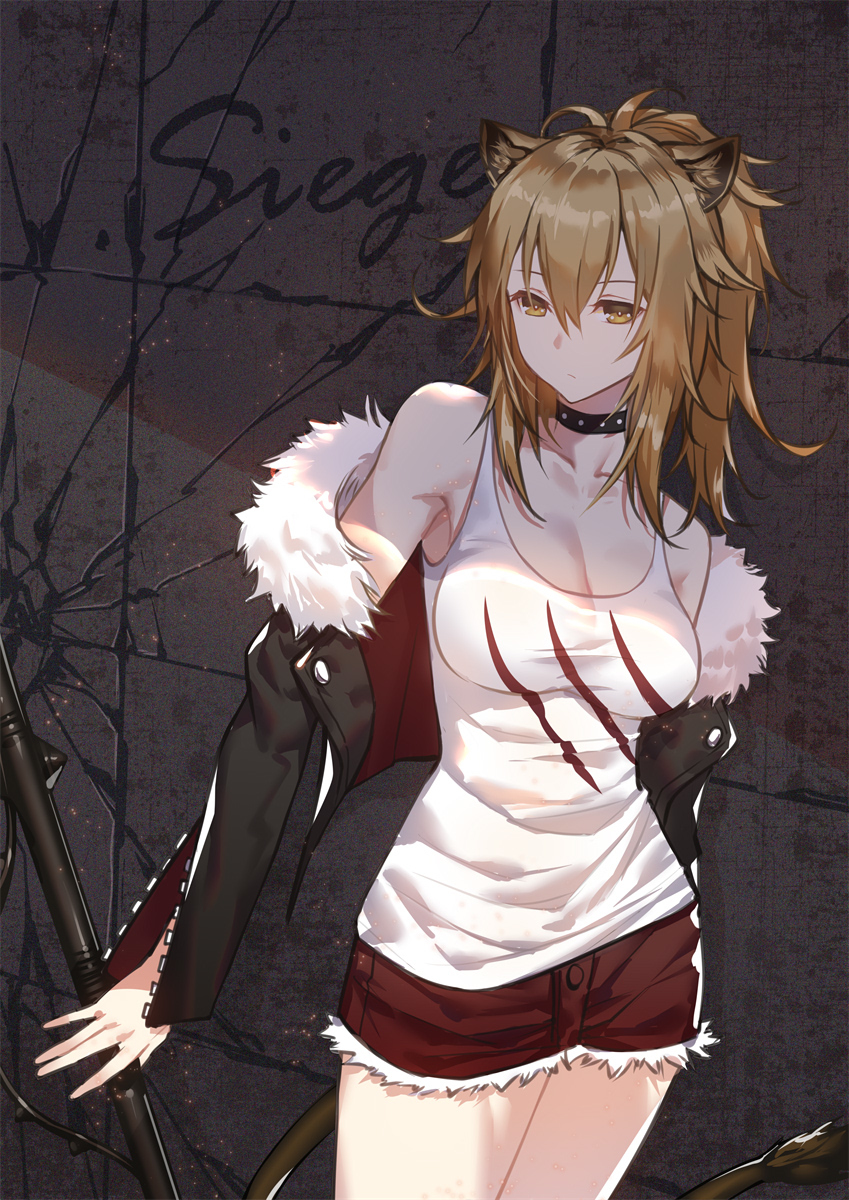 This is a pixiv picture whose title is シージ.