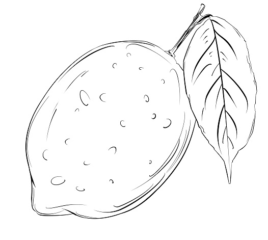 This is a pixiv picture whose title is レモン　スケッチ.