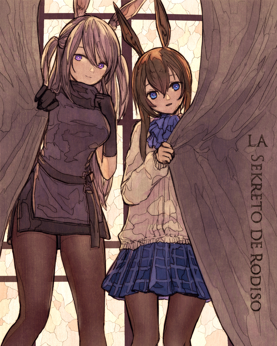 This is a pixiv picture whose title is 秘密.