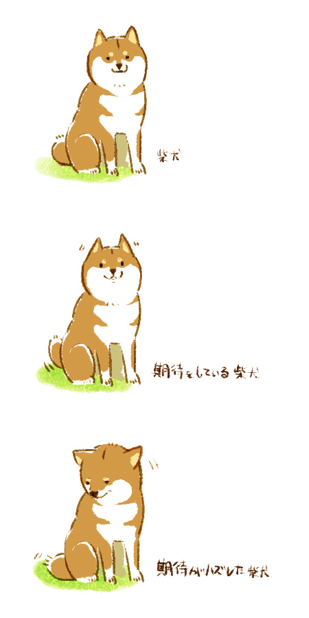 This is a pixiv picture whose title is 期待が外れた時の柴犬さんの反応.