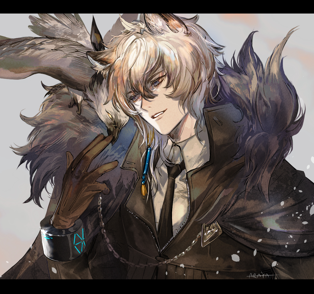 This is a pixiv picture whose title is 銀灰色の栄光.