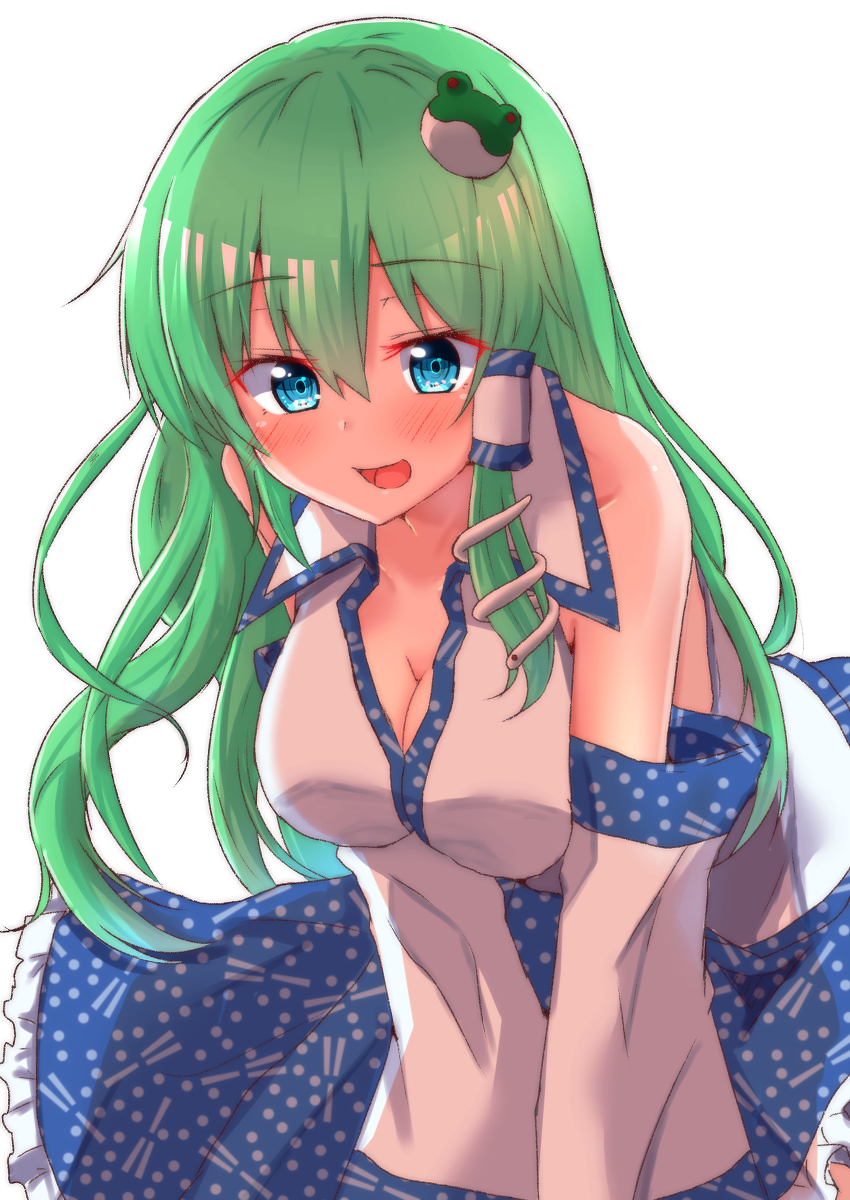 This is a pixiv picture whose title is 早苗さん落書き.