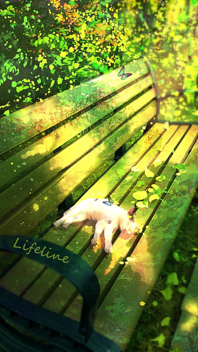 This is a pixiv picture whose title is 猫椅.