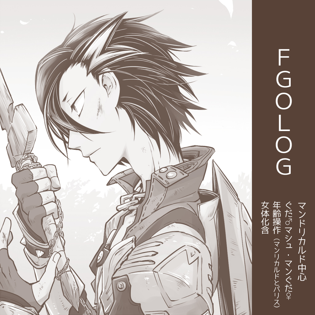 This is a pixiv picture whose title is FGOLOG④.