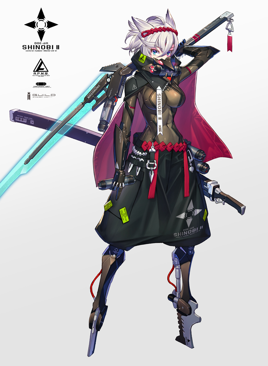 This is a pixiv picture whose title is 忍.