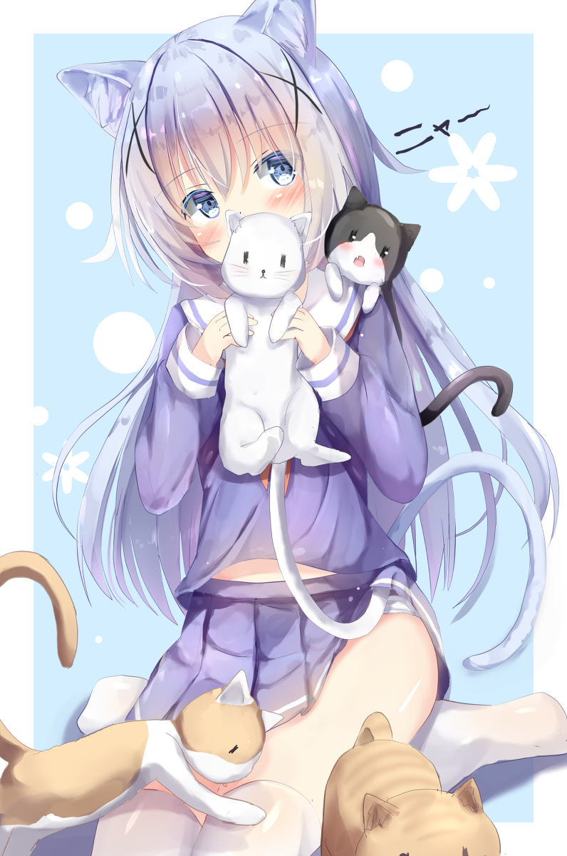 This is a pixiv picture whose title is ねこねこチノ.