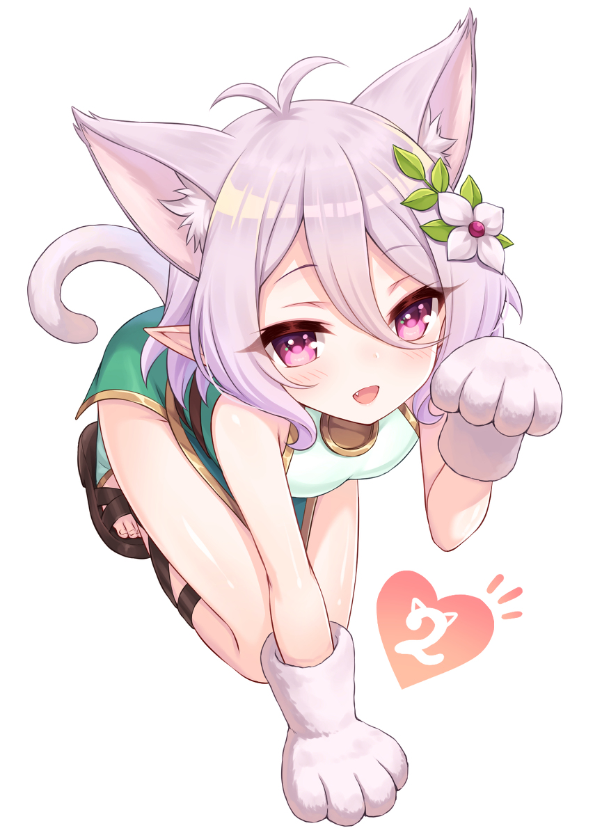 This is a pixiv picture whose title is にゃんにゃんコッコロちゃん.