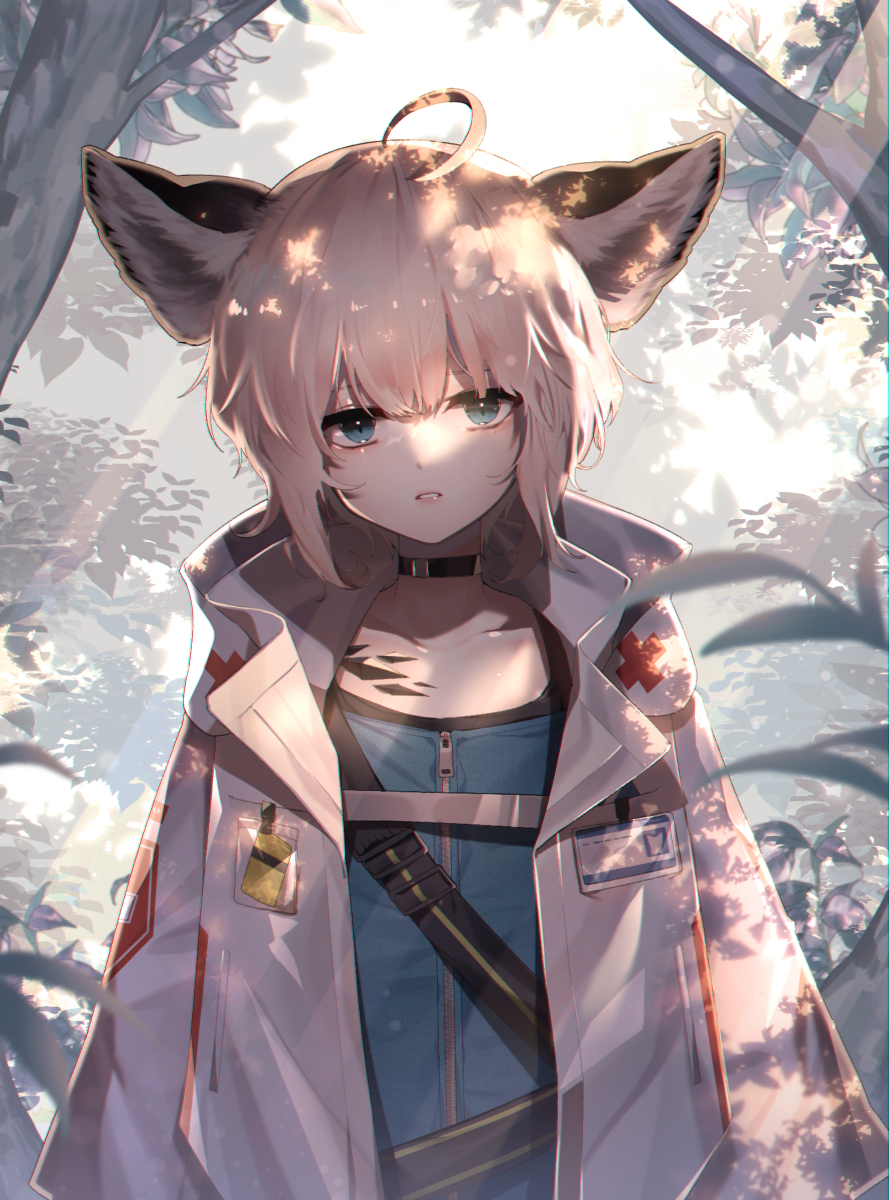 This is a pixiv picture whose title is 🦊🐼.