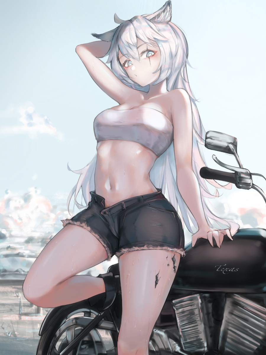 This is a pixiv picture whose title is From Lapland to Texas..