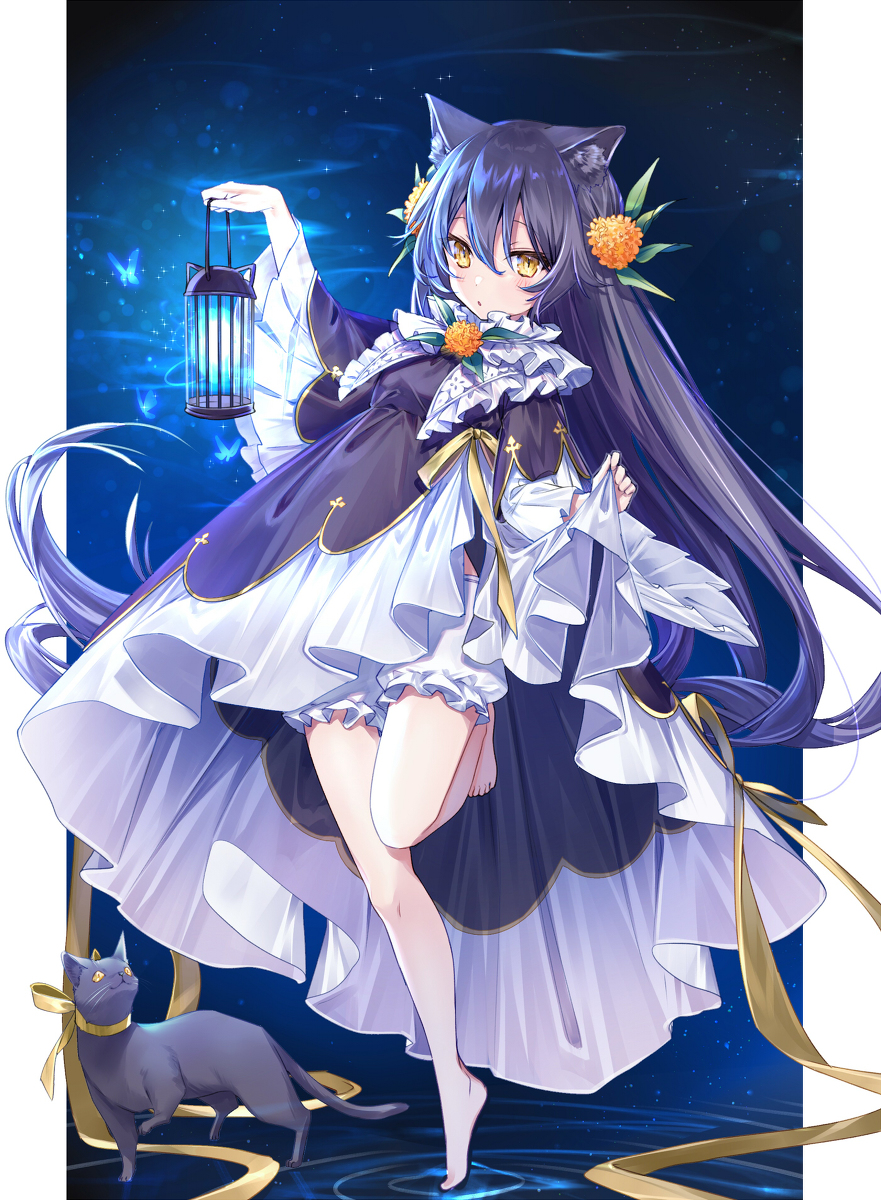 This is a pixiv picture whose title is 黒猫な闇夜の案内人.