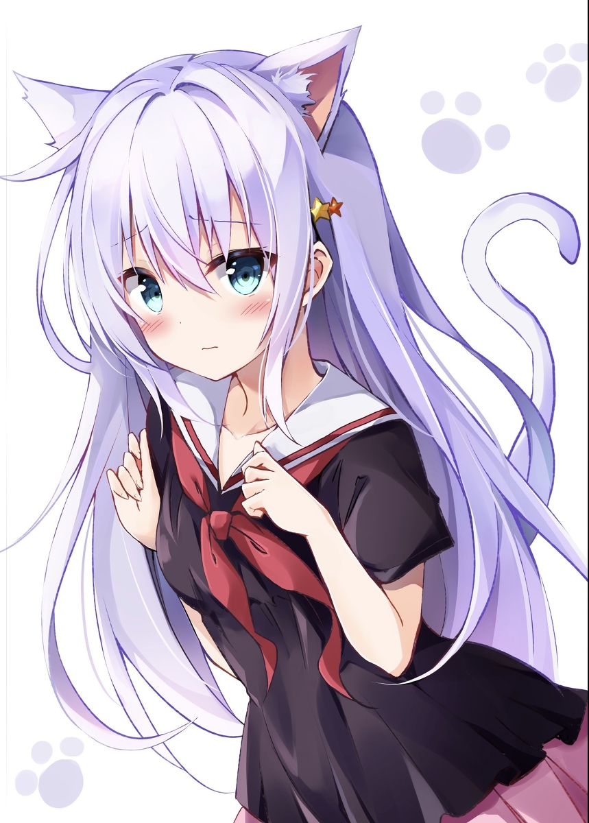 This is a pixiv picture whose title is 猫耳くのんちゃん.