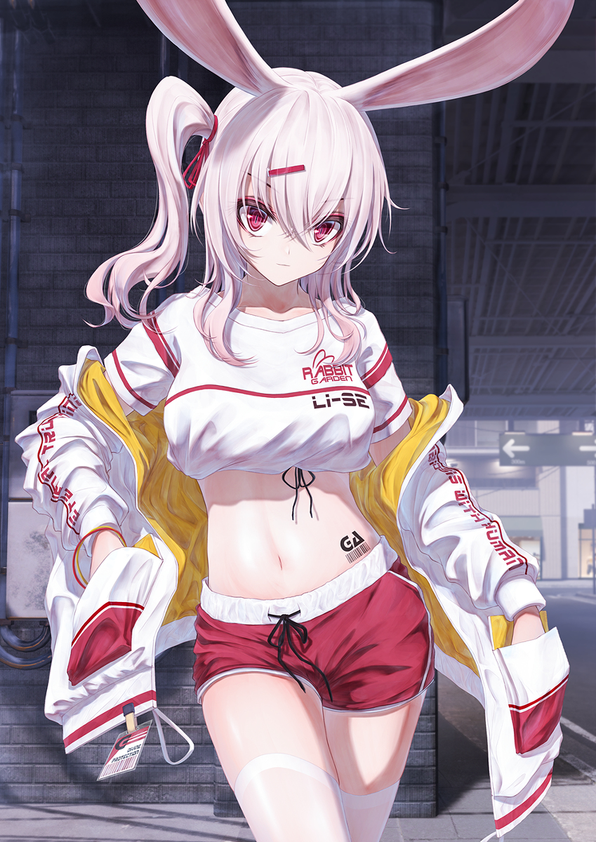 This is a pixiv picture whose title is Li-se.