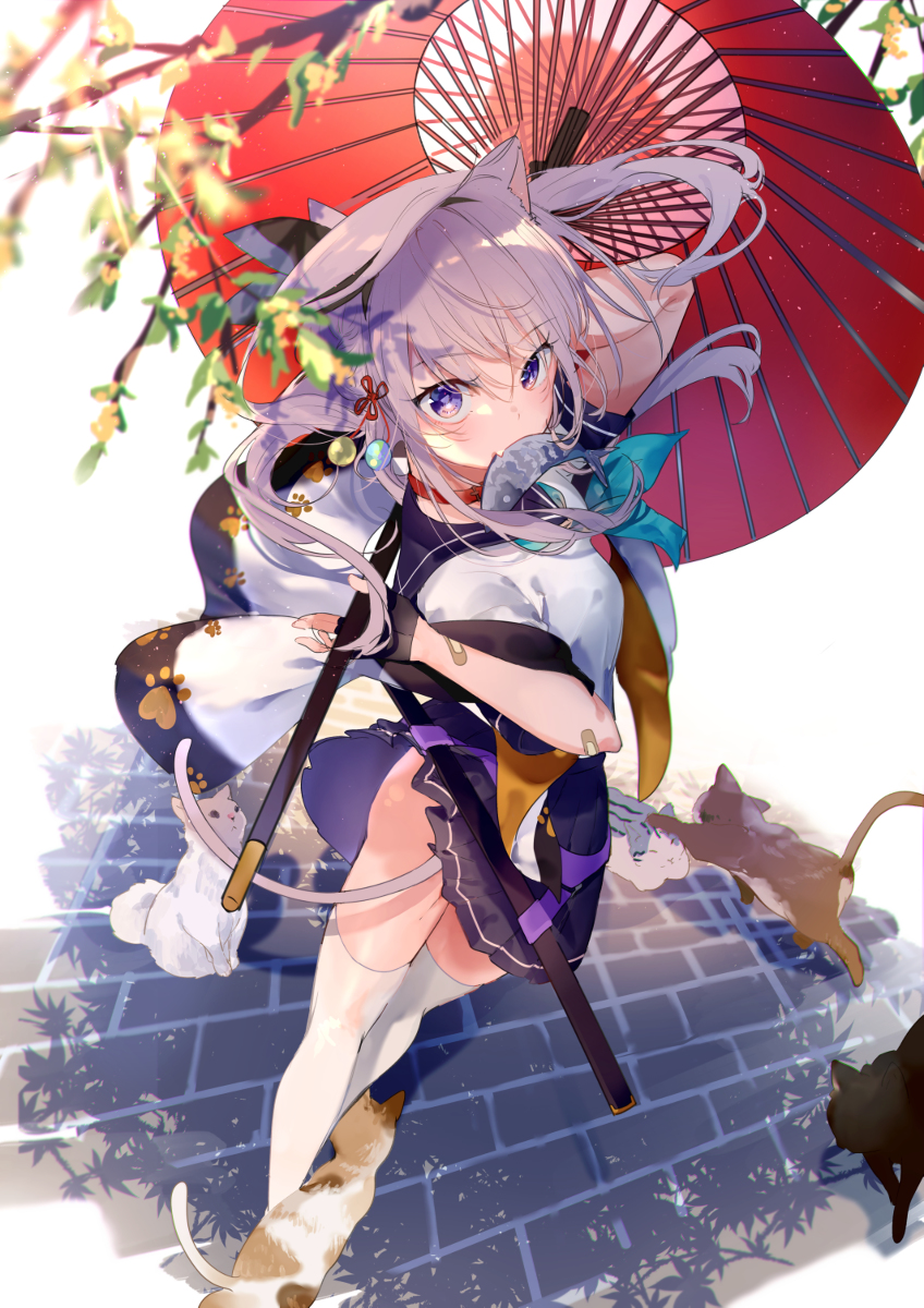 This is a pixiv picture whose title is 密会.
