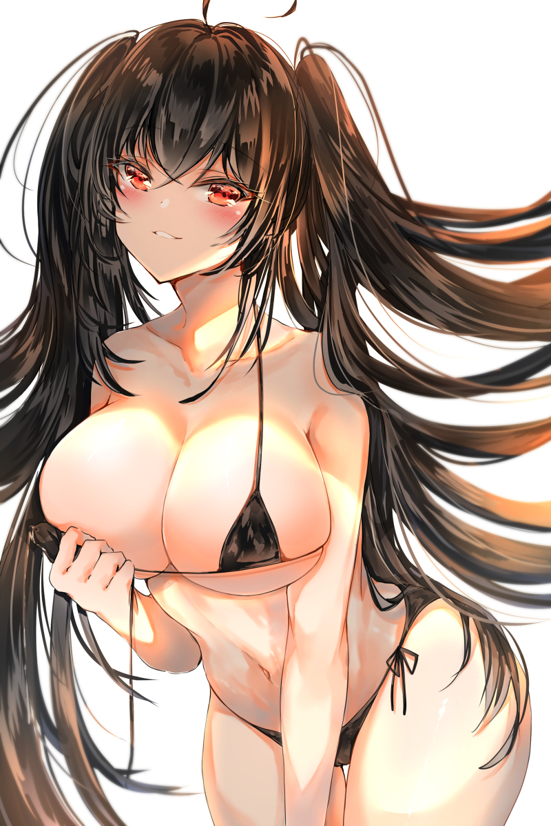 This is a pixiv picture whose title is 大鳳.