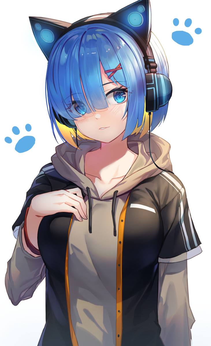 This is a pixiv picture whose title is レム.