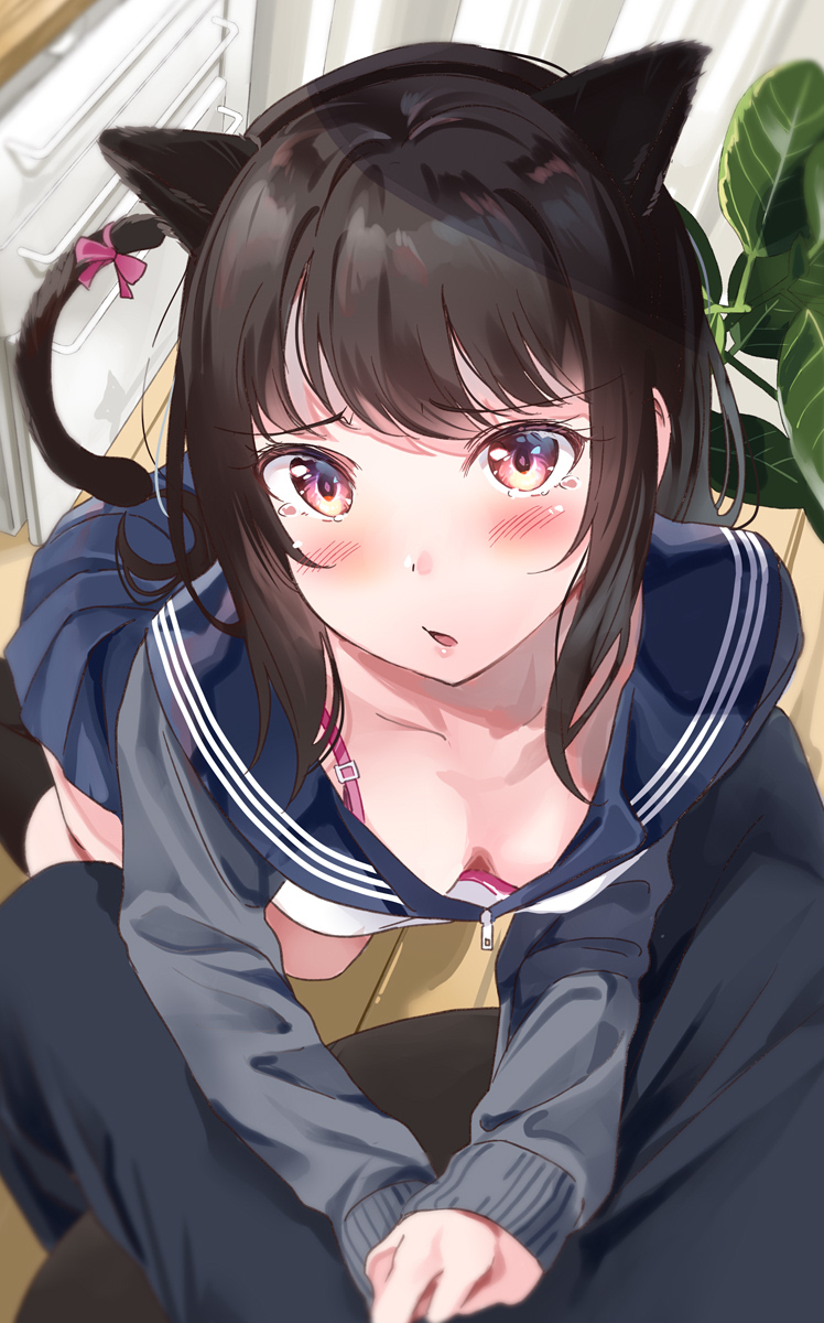 This is a pixiv picture whose title is 猫耳を付ける遊びをしていたらなでなでを懇願してきた後輩.