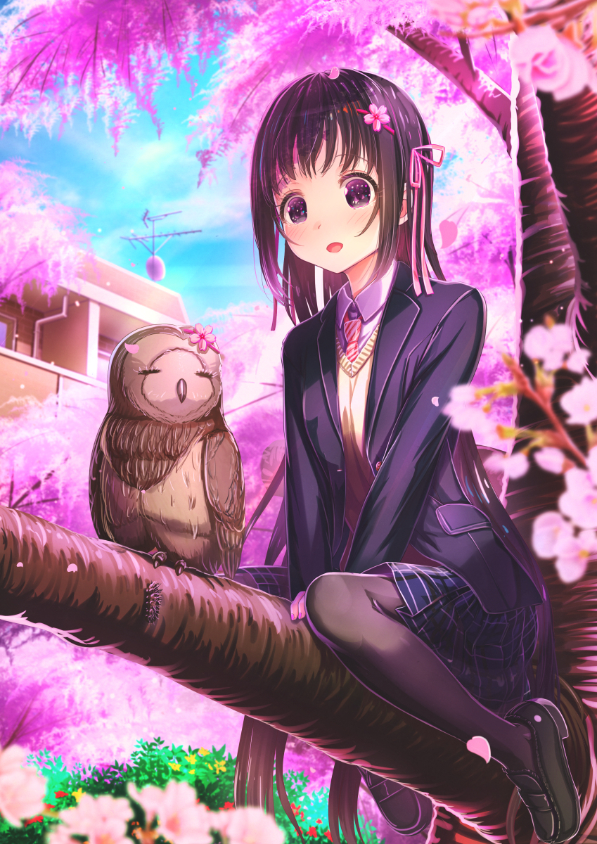 This is a pixiv picture whose title is 「ホーホー、ホロッホー！」.