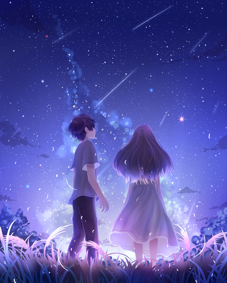 This is a pixiv picture whose title is 一起看流星雨.