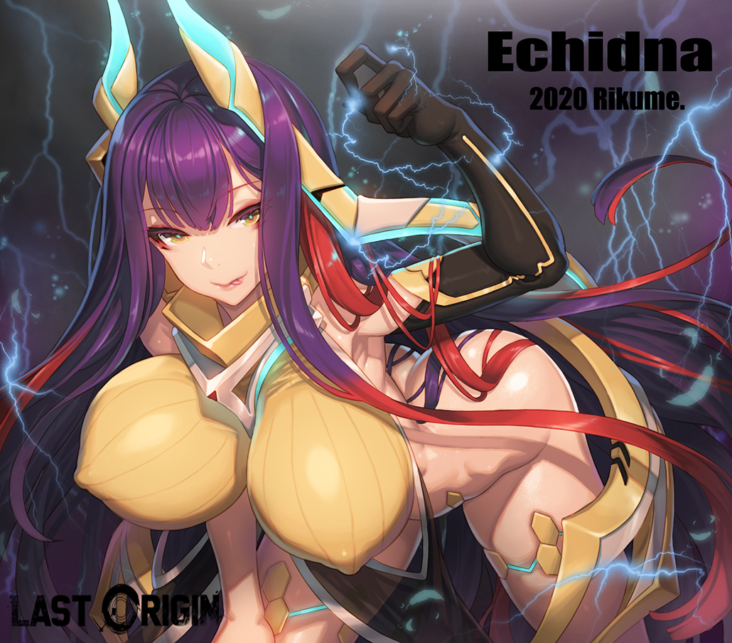 This is a pixiv picture whose title is Last Origin-Echidna.