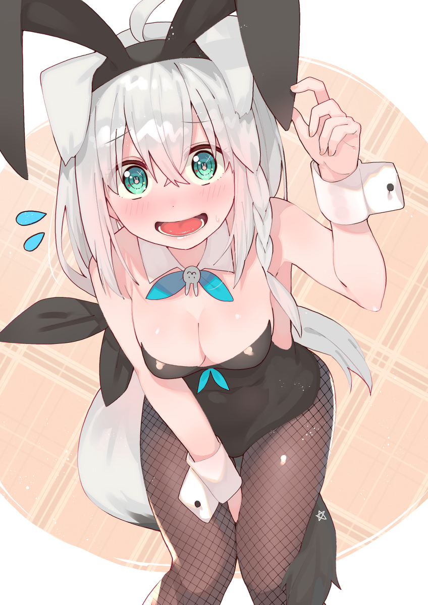 This is a pixiv picture whose title is バニー白上.