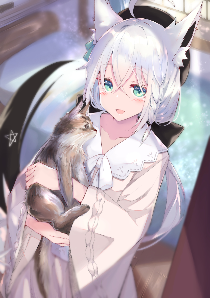 This is a pixiv picture whose title is 🦊🐱.