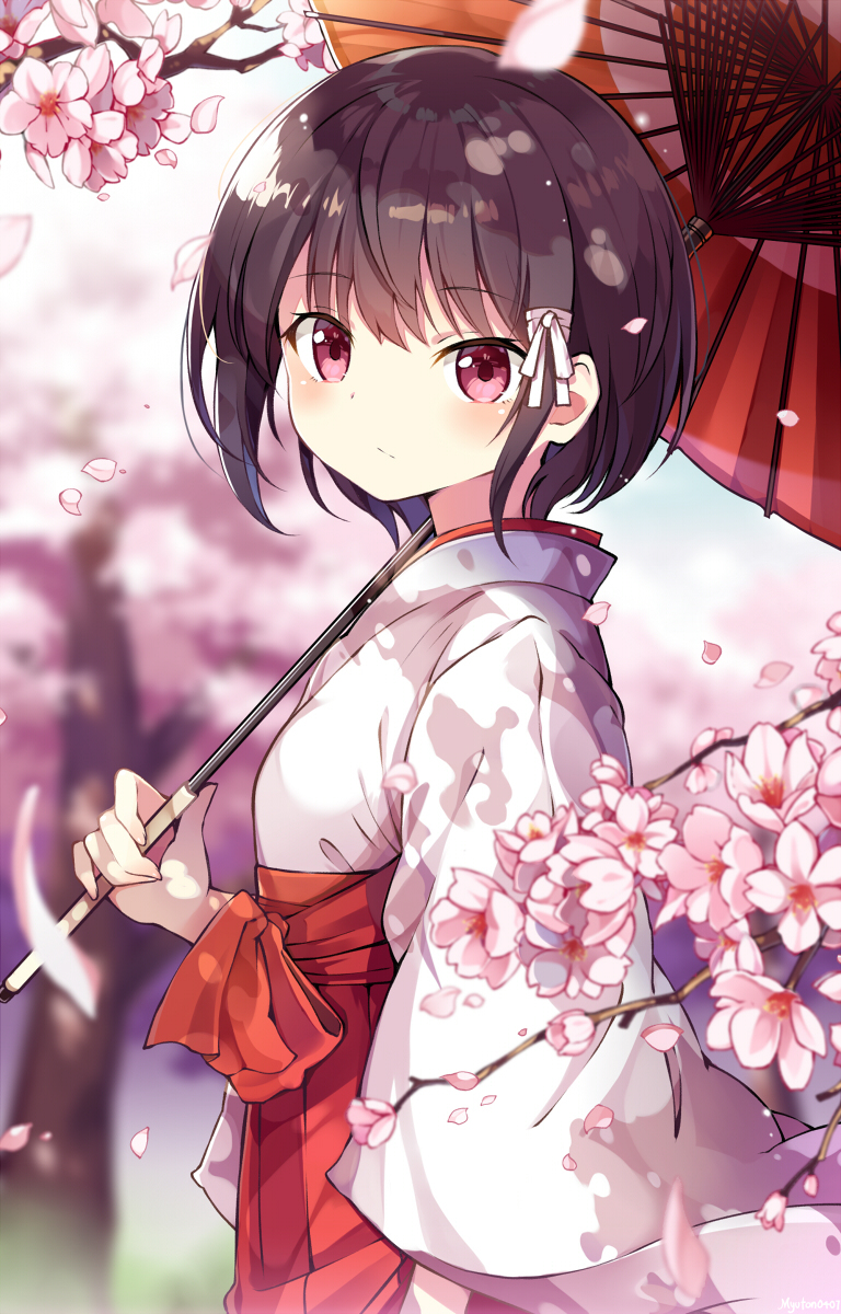 This is a pixiv picture whose title is 桜と巫女.