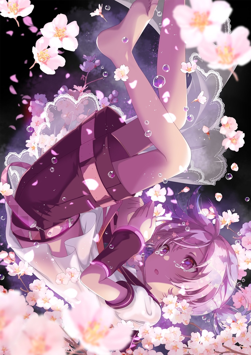 This is a pixiv picture whose title is さくら.