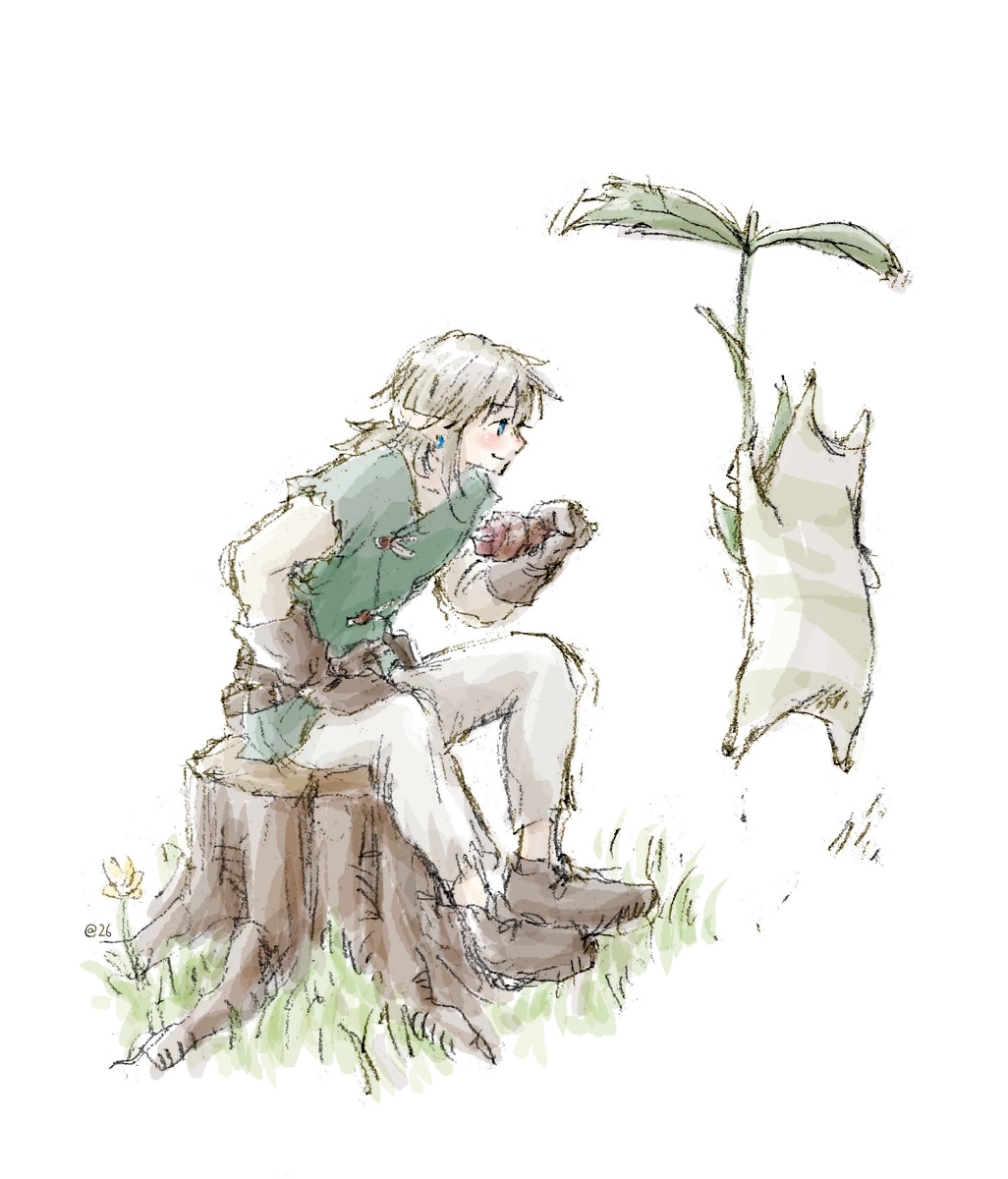 This is a pixiv picture whose title is BotW落書き⑩.