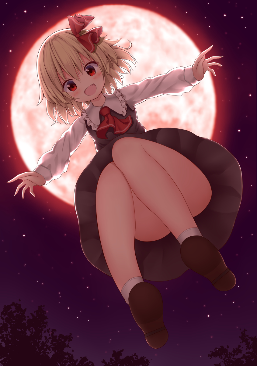 This is a pixiv picture whose title is 空からなのかー.