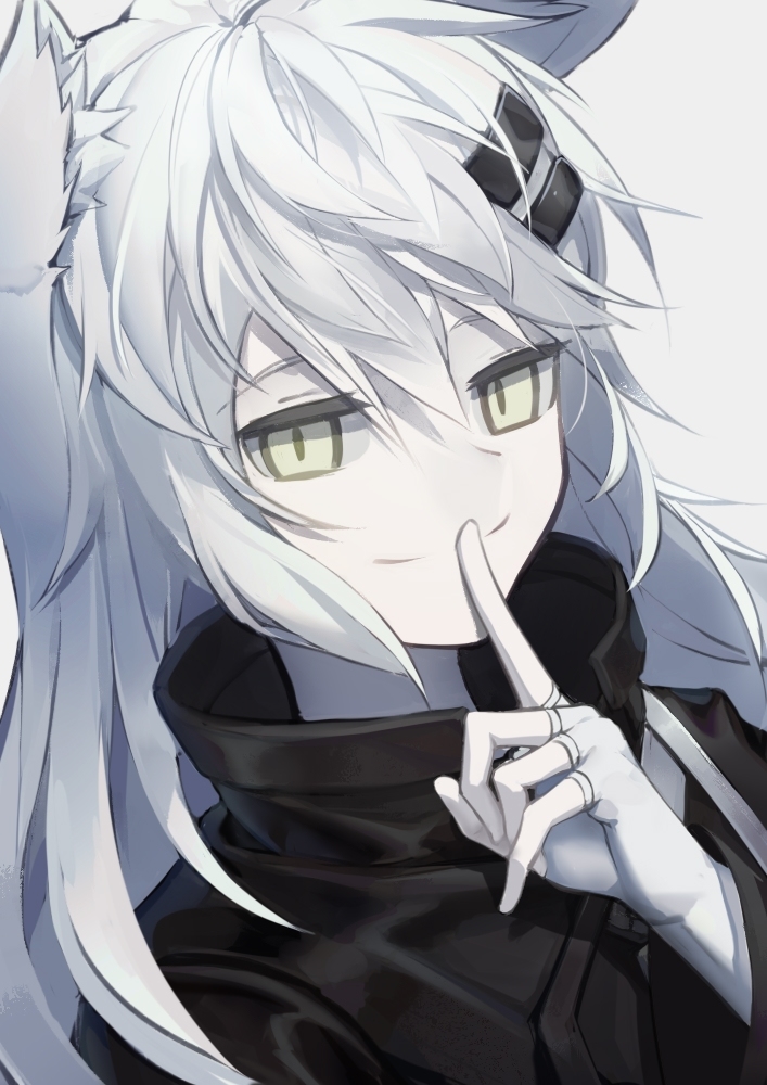 This is a pixiv picture whose title is 拉普兰德.