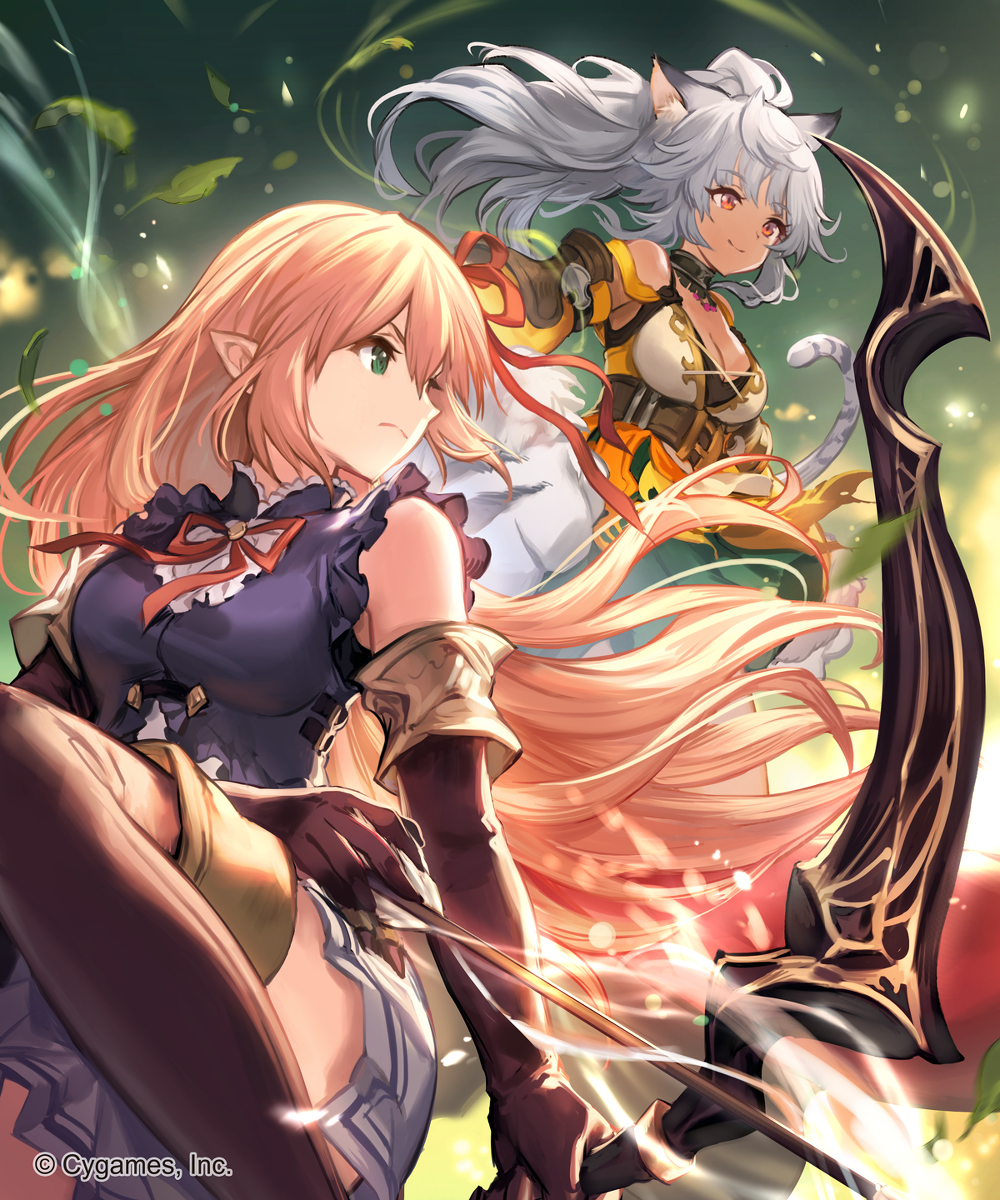 This is a pixiv picture whose title is 【Shadowverse】重なり合う決意.