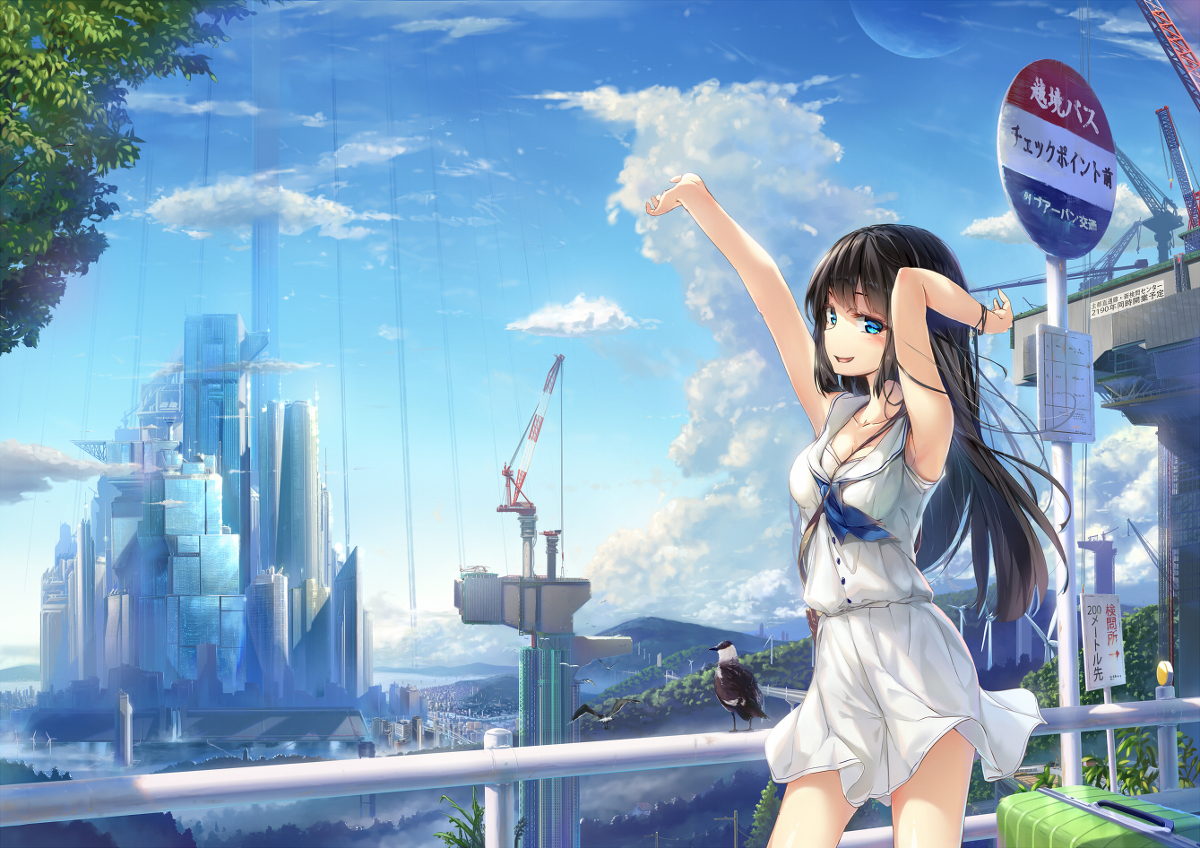 This is a pixiv picture whose title is まだ見ぬ街へ.