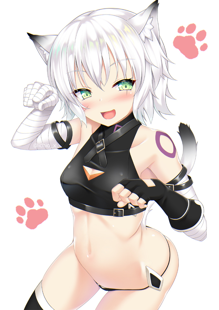 This is a pixiv picture whose title is ジャックにゃん.
