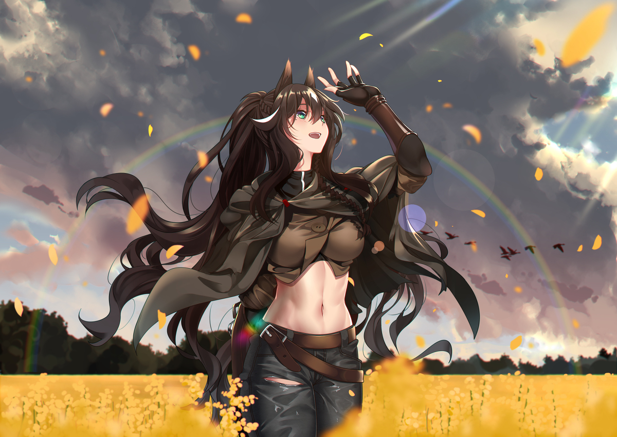 This is a pixiv picture whose title is Meteor.