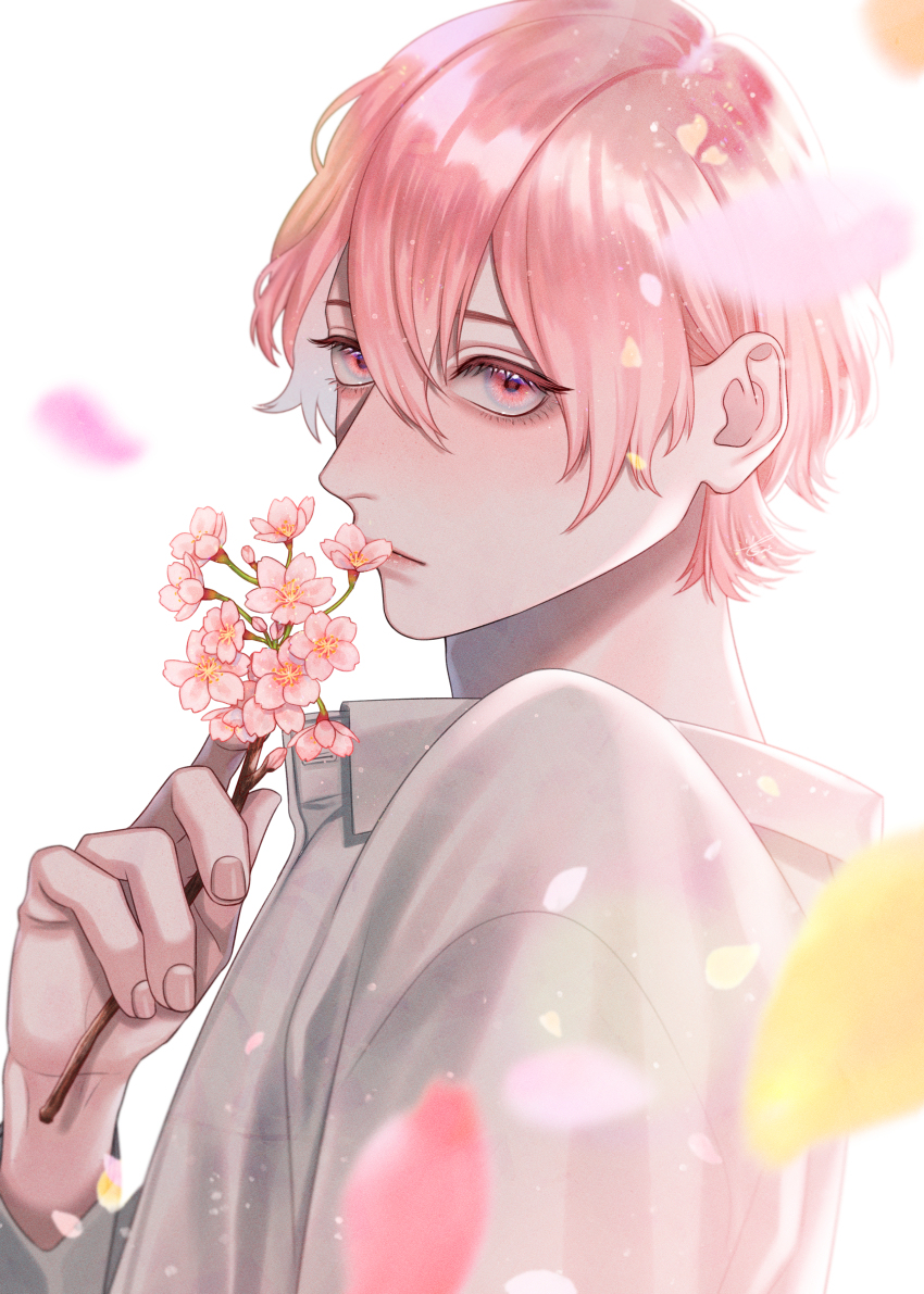 This is a pixiv picture whose title is さくら.