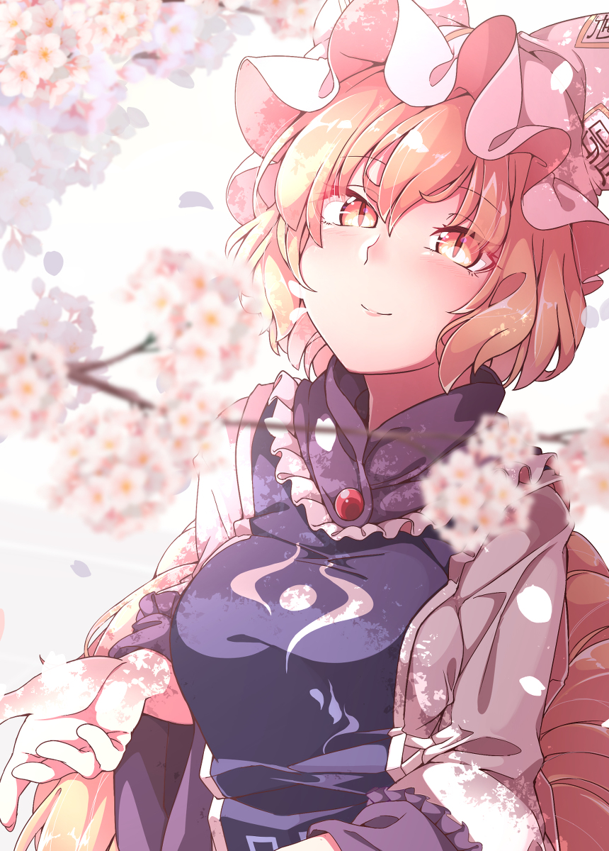 This is a pixiv picture whose title is 桜藍様.