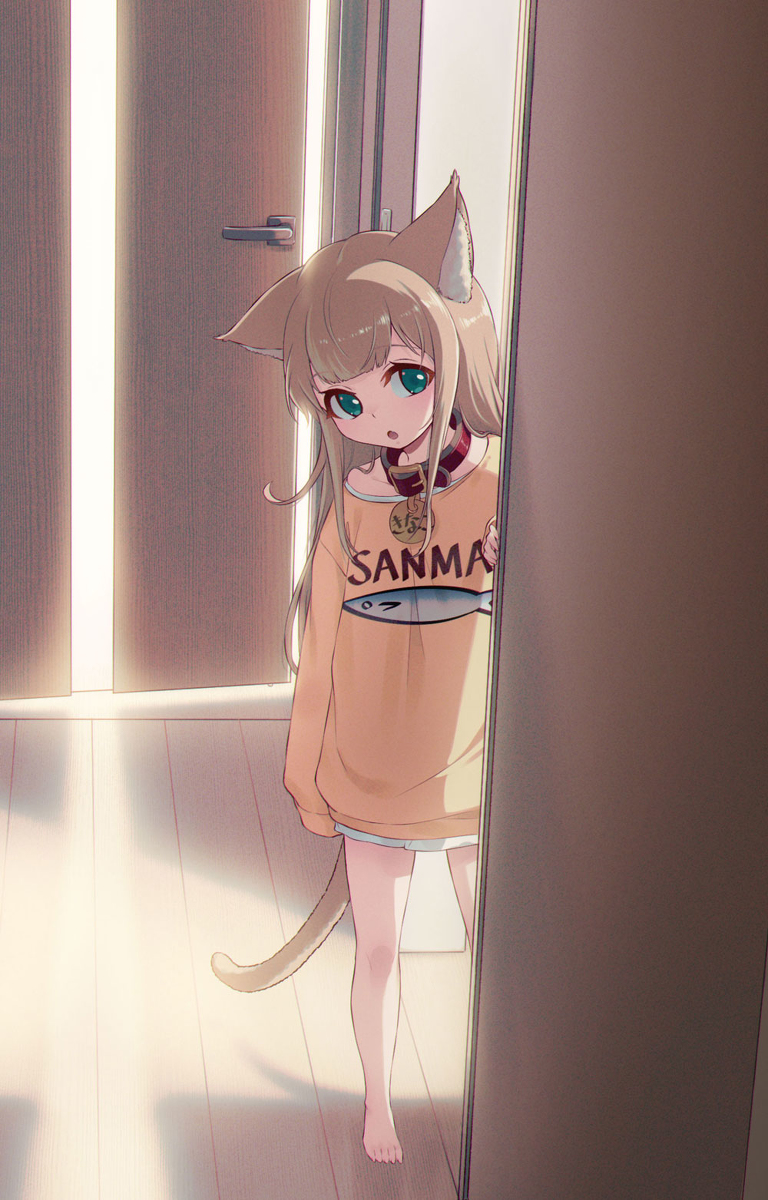 This is a pixiv picture whose title is お家に帰ったらきなこがお出迎えしてくれた🐈.