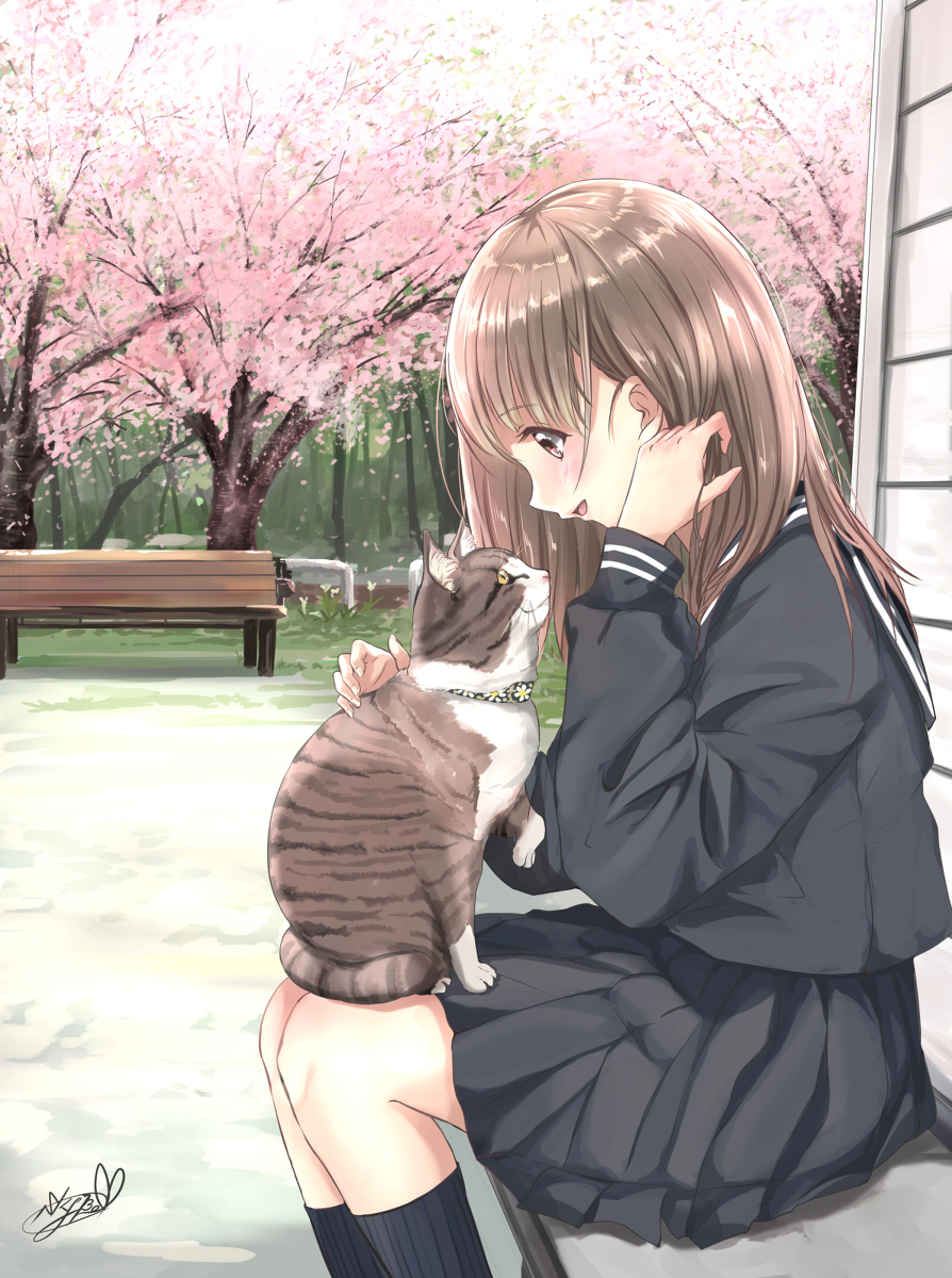 This is a pixiv picture whose title is 君と猫の日常　「一緒だから」.