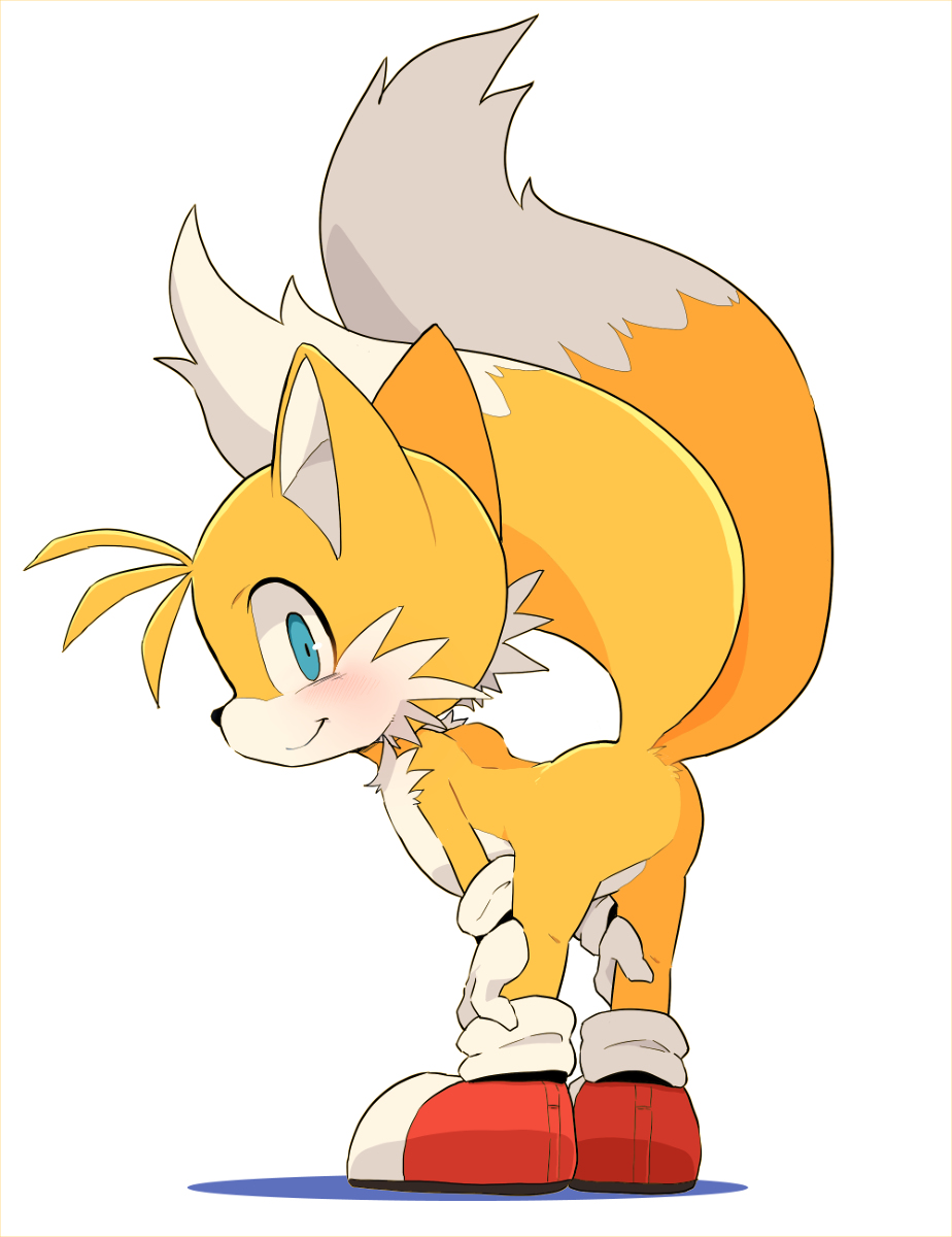This is a pixiv picture whose title is テイルス.