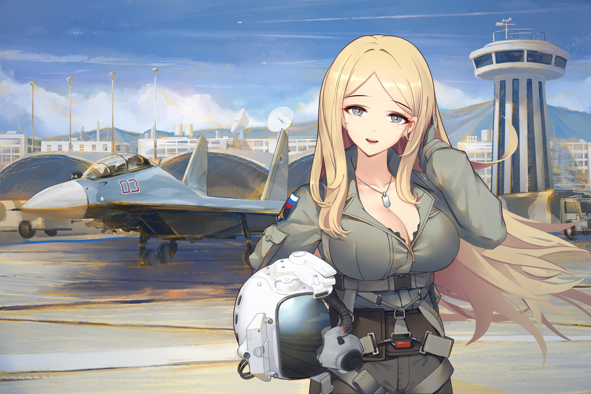 This is a pixiv picture whose title is Su-30.