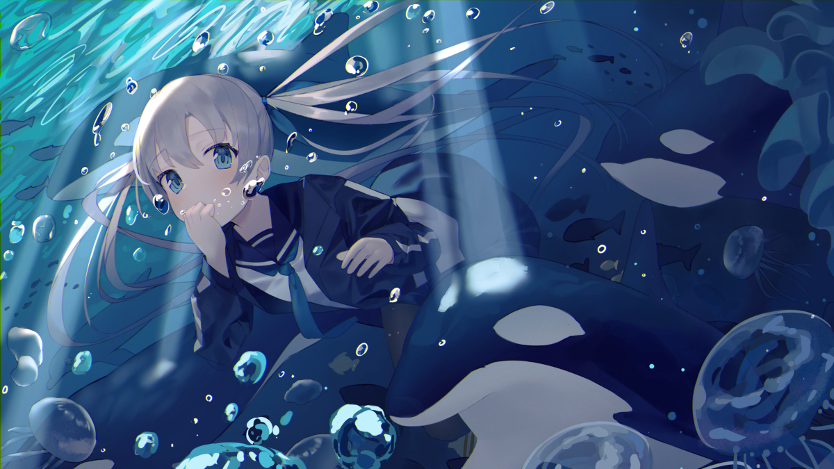 This is a pixiv picture whose title is Orca.
