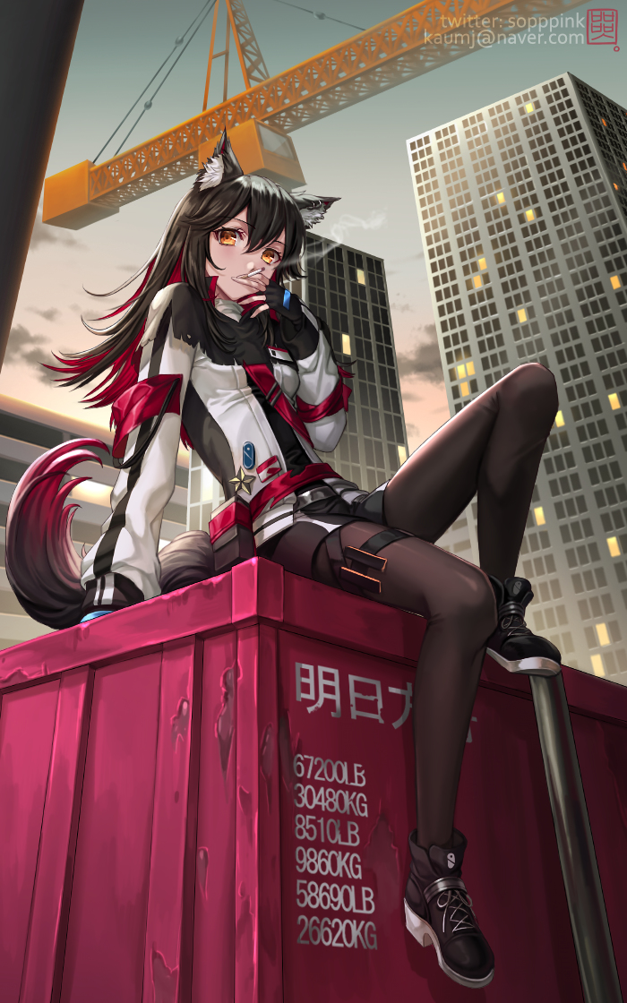 This is a pixiv picture whose title is 明日方舟 テキサス.