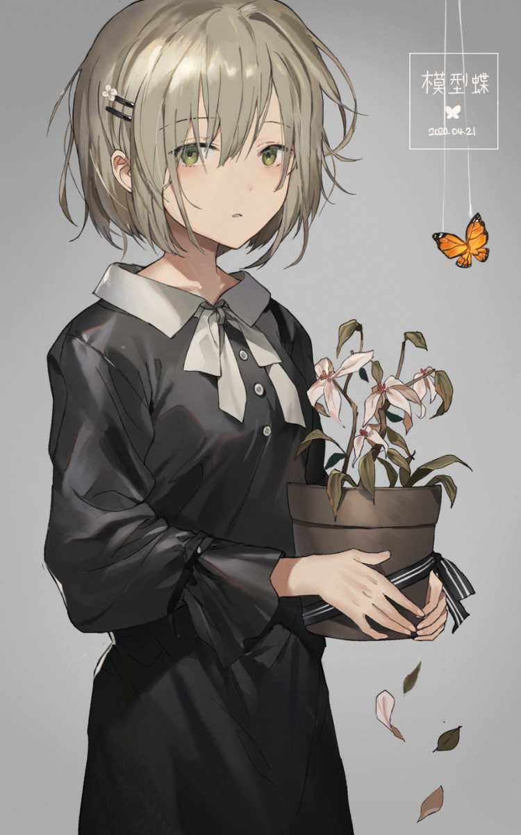This is a pixiv picture whose title is 模型蝶.