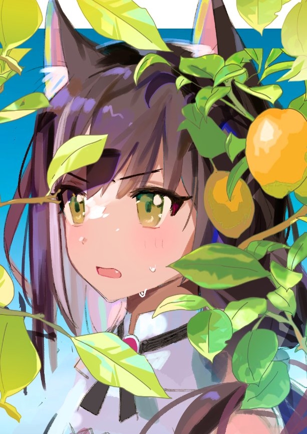 This is a pixiv picture whose title is Kyaru.