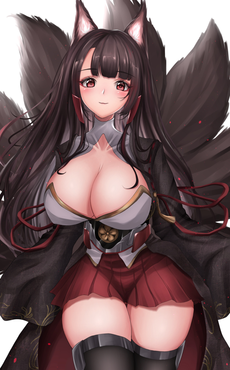 This is a pixiv picture whose title is 赤城進水日.