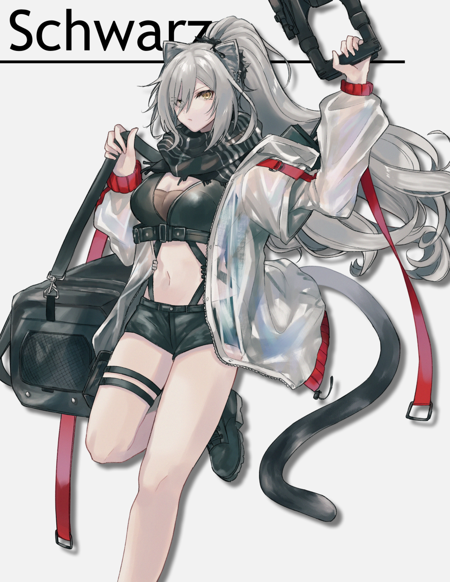 This is a pixiv picture whose title is シュヴァルツ.