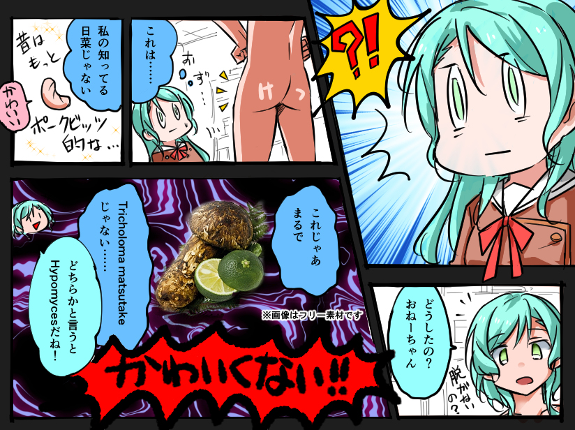 This is a pixiv picture whose title is ﾋﾅｻﾖ.