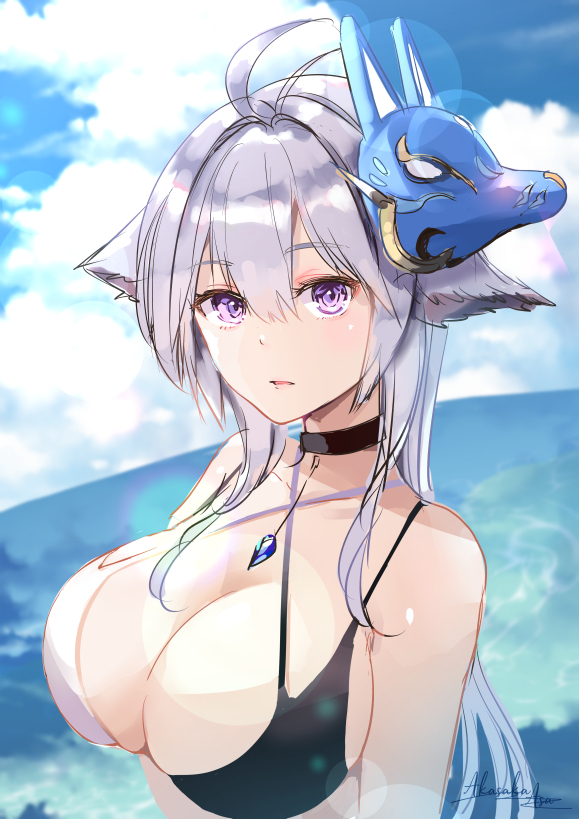 This is a pixiv picture whose title is 水着土佐.