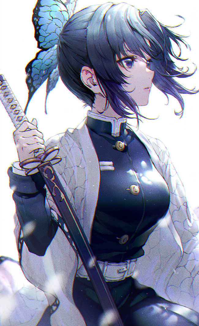 This is a pixiv picture whose title is 胡蝶しのぶ.